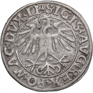 Polish-Lithuanian Commonwealth 1/2 Grosz 1549 - Sigismund II Augustus (1545-1572)