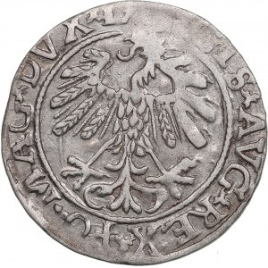 Polish-Lithuanian Commonwealth 1/2 Grosz 155? - Sigismund II Augustus (1545-1572)