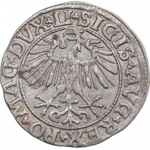 Polish-Lithuanian Commonwealth 1/2 Grosz 1550 - Sigismund II Augustus (1545-1572)