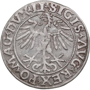 Polish-Lithuanian Commonwealth 1/2 Grosz 1551 - Sigismund II Augustus (1545-1572)