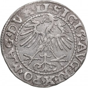 Polish-Lithuanian Commonwealth 1/2 Grosz 1552 - Sigismund II Augustus (1545-1572)