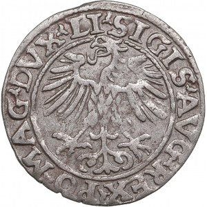 Polish-Lithuanian Commonwealth 1/2 Grosz 1553 - Sigismund II Augustus (1545-1572)