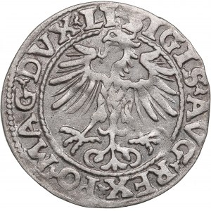 Polish-Lithuanian Commonwealth 1/2 Grosz 1554 - Sigismund II Augustus (1545-1572)