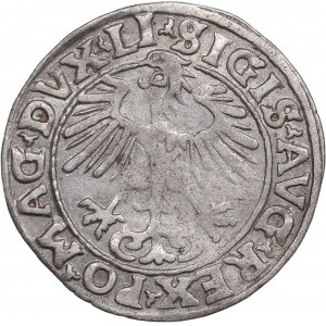 Polish-Lithuanian Commonwealth 1/2 Grosz 1555 - Sigismund II Augustus (1545-1572)