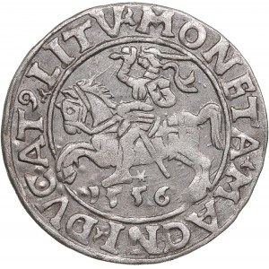 Polish-Lithuanian Commonwealth 1/2 Grosz 1556 - Sigismund II Augustus (1545-1572)