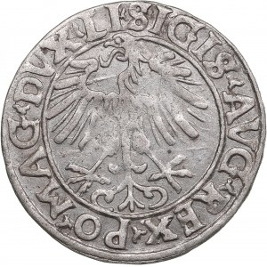 Polish-Lithuanian Commonwealth 1/2 Grosz 1556 - Sigismund II Augustus (1545-1572)