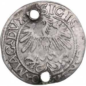 Polish-Lithuanian Commonwealth 1/2 Grosz 1556/9 - Sigismund II Augustus (1545-1572)