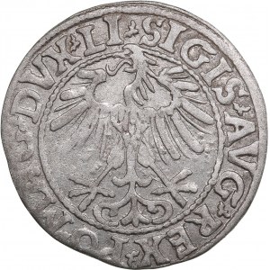 Polish-Lithuanian Commonwealth 1/2 Grosz 1557 - Sigismund II Augustus (1545-1572)