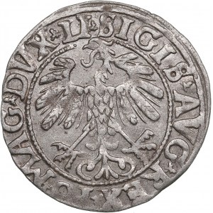 Polish-Lithuanian Commonwealth 1/2 Grosz 1558 - Sigismund II Augustus (1545-1572)