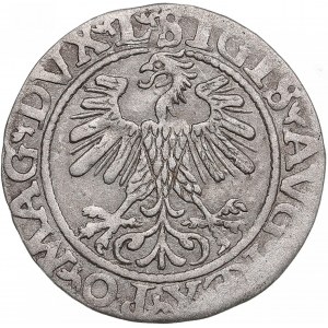Polish-Lithuanian Commonwealth 1/2 Grosz 1560 - Sigismund II Augustus (1545-1572)