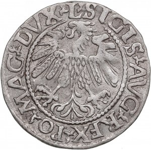 Polish-Lithuanian Commonwealth 1/2 Grosz 1560 - Sigismund II Augustus (1545-1572)
