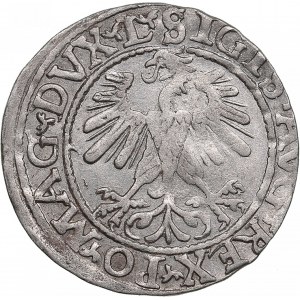 Polish-Lithuanian Commonwealth 1/2 Grosz 1560 - Sigismund III (1587-1632)