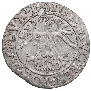 Polish-Lithuanian Commonwealth 1/2 Grosz 1562 - Sigismund II Augustus (1545-1572)