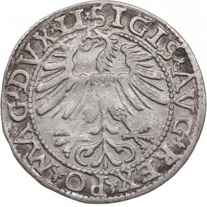 Polish-Lithuanian Commonwealth 1/2 Grosz 1563 - Sigismund II Augustus (1545-1572)