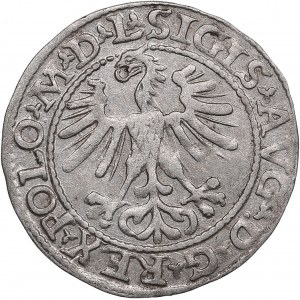 Polish-Lithuanian Commonwealth 1/2 Grosz 1564 - Sigismund II Augustus (1545-1572)