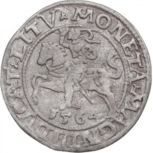 Polish-Lithuanian Commonwealth 1/2 Grosz 1564 - Sigismund II Augustus (1545-1572)