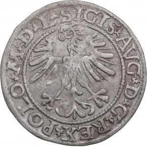 Polish-Lithuanian Commonwealth 1/2 Grosz 1564 - Sigismund II Augustus (1545-1572)