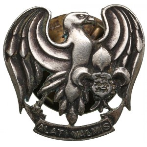 Estonia Badge - Young Eagles before 1940