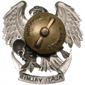 Estonia Badge - Young Eagles before 1940