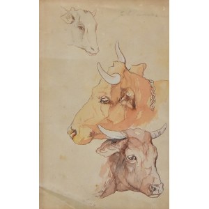 Jacek MALCZEWSKI (1854-1929), Study of Three Cow Heads.