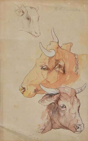 Jacek MALCZEWSKI (1854-1929), „Studium trzech krowich głów”