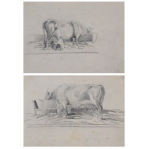 Piotr MICHAŁOWSKI (1800-1855), Cows - two drawings