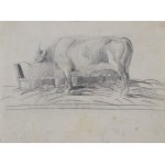 Piotr MICHAŁOWSKI (1800-1855), Krávy - dvě kresby