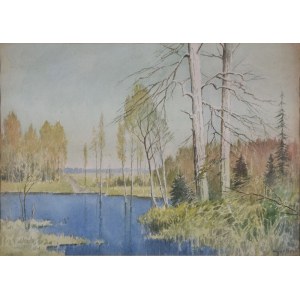 Tadeusz NARTOWSKI (1892-1971), Surroundings of Żarnowiec - birches