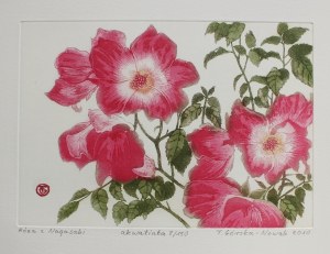 Tatiana Górska-Nowak, Róża z Nagasaki