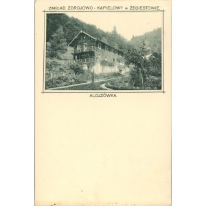 Żegiestów - Alojzówka, ok. 1900