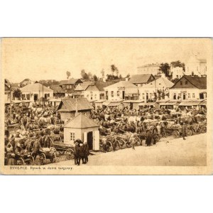 Stolpce - Market square on market day, ca. 1900