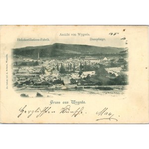 Wygoda - General view, ca. 1900.