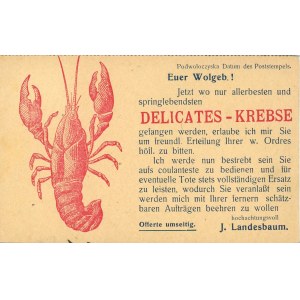 Podwołoczyska - Advertisement, ca. 1910