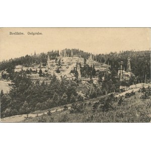 Brelikow - General view, ca. 1910