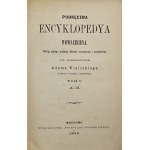 Wiślicki Adam - Podręczna encyklopedya powszechna. Podług 5. wydania Meyera oprac. i uzup. pod przewodnictwem ... Warszawa 1895-1901 Wyd. Przeglądu Tygodniowego.