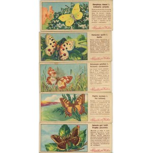 Piasecki, Kraków - Obrazki z motylami dokładane do czekolady, ok. 1930 - 9 szt.