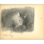 Pamiętnik Leszka Wawrzeckiego - Wpisy m.in. B. Rychter Janowskiej, A. Karpińskiego, K. I. Gałczyńskiego, l. 30-40. XX w.