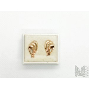 Gold earrings - gold 10k/417