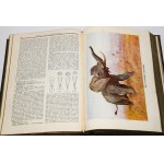 THE GREAT ILLUSTRATED ENCYCLOPEDIA POWSZSZECHNA vol. 1-22, complete. Cracow 1935-1937.