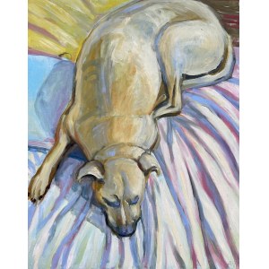 BOGNA GNIAZDOWSKA (1964), Dog-Sleeping Bex, 2017
