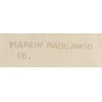 Marcin Maciejowski (b. 1974, Babice near Kraków), Sigismund Augustus' collection included 350 tapestries..., 2000