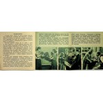 Enemies in Love - cinema flyer