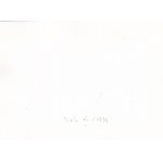 Rozbite czołgi na warszawskiej Woli 1939 r. [zespół 6 fotografii] fotografia Eugeniusz Haneman [Life time print / zniszczenia wojenne Warszawy]
