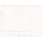 Warszawa 1944 Volksdeutsche sprzątają ulice miasta fotografia Stanisław Baranowski [Life time print / zniszczenia wojenne Warszawy / Powstanie Warszawskie]