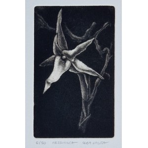 Lasota Olga, Mezzotint 6 of 50