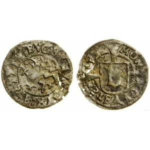 Pomerania, witten, 1522, Szczecin