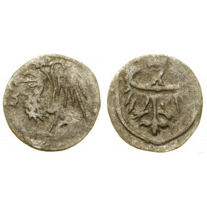 Śląsk, halerz, przed 1431 (?) i ok. 1432-1449, Oleśnica
