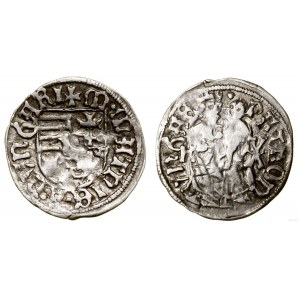 Ungarn, Denar, 1479-1485, Kremnica