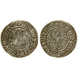 Polska, półgrosz, 1509, Wilno