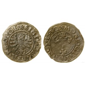 Poland, sheląg, 1530, Gdansk